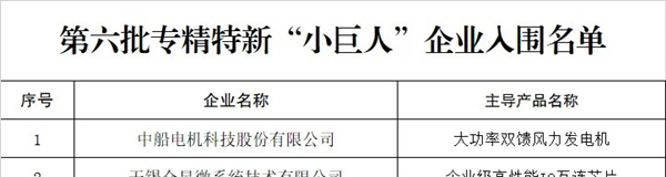 国家级专精特新截图W.jpg
